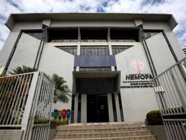 O Hemopa faz o atendimento transfusional de 218 hospitais, 85 deles somente em Belém — Foto: Divulgação/Hemopa