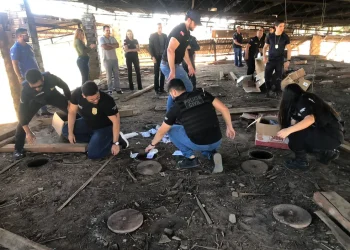 Agentes da Polícia Civil (PC) durante a incineração das drogas. — Foto: Ascom PC-PA