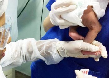 Foto: Divulgação/Agência Pará