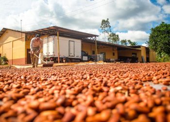 Foto: Pedro Guerreiro / Agência Pará