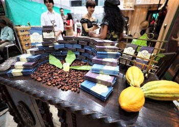 Foto: Agência Pará / Divulgação