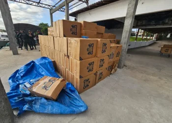 PM apreende carga de cigarros contrabandeados no Pará. — Foto: Reprodução / 8 BPM / PM-PA