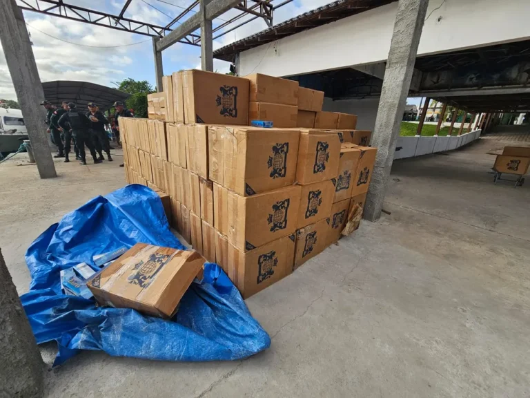 PM apreende carga de cigarros contrabandeados no Pará. — Foto: Reprodução / 8 BPM / PM-PA