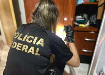 fonteA operação investiga os crimes de organização criminosa, furto qualificado mediante fraude em ambiente cibernético, inserção de dados falsos em sistema de informações e lavagem de dinheiro. (Divulgação / PF)