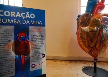 Foto: Tomaz Silva / Agência Brasil