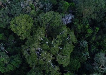 Foto: Divulgação / TV Brasil