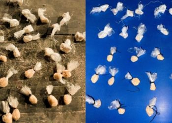 Duas mulheres são presas em flagrante por tráfico de drogas em Santarém