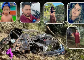 Ana Flávia Santos Lima, Lucas Santos Lima, Isabel Santos Lima Oliveira, Ana Maria do Carmo Soares Santos, Heitor Lima morreram em acidente na BR-153, em Goiás — Foto: Reprodução/Redes Sociais