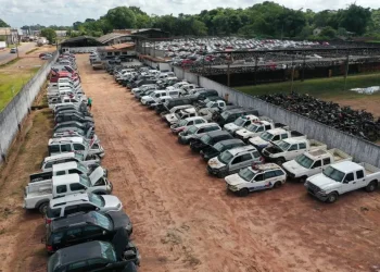 Seplad realizará leilão público de 103 veículos em agosto. — Foto: Divulgação