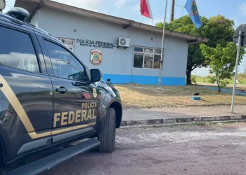fonteEm Barcarena, nesta terça-feira (29), um homem acusado de furto e que trabalhava no porto de Vila do Conde como técnico mecânico foi preso pela Polícia Federal. (Divulgação / Ascom PF)