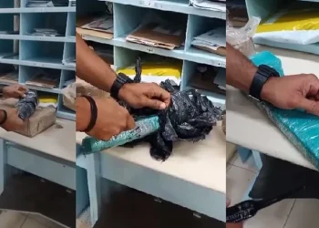 Maconha enviada pelos Correios foi interceptada pela PF e Receita Federal no Pará — Foto: Polícia Federal