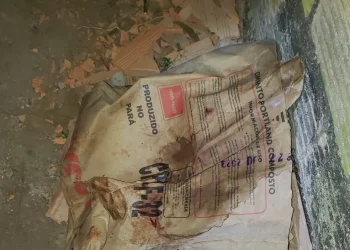 Recém-nascido é encontrado sem roupa ou coberta em cima de saco de cimento em cidade do Pará — Foto: Reprodução