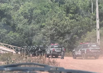 MPF pede envio de Força Nacional para conter conflitos e garantir a segurança de indígenas no Pará; entenda