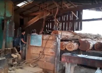 Operação fecha duas madeireiras por furto de energia elétrica no Pará. — Foto: Divulgação