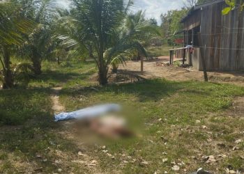 Marido mata a companheira com tiro de espingarda na zona rural de Uruará, no PA