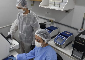 Foto: Fiocruz / Divulgação