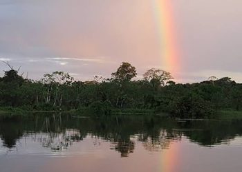 Ideflor-Bio e Prefeitura de Novo Progresso discutem futuras ações na Flota Iriri