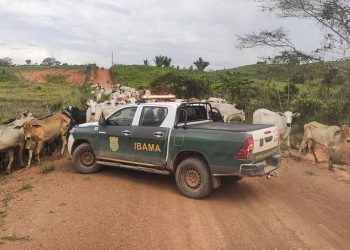 Foto: Reprodução do site Folha de S.Paulo