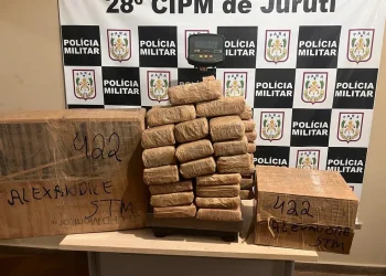 Carga de droga apreendida pela Polícia Militar, em Juruti — Foto: Divulgação/28º CIPM