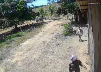 Imagem dos suspeitos divulgadas pela polícia