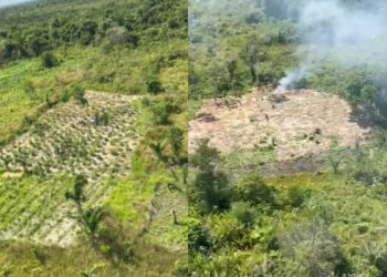 Foto: Reprodução Polícia Federal do Pará