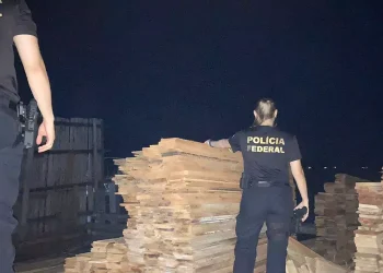 Madeireiro é preso após subtrair madeira apreendida pelo Ibama