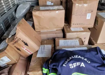 Foi lavrado um Termo de Apreensão e Depósito (TAD) no valor de R$ 26.479,35, referente ao ICMS e multa, e após o pagamento do imposto as mercadorias foram liberadas. (Divulgação / Agência Pará)