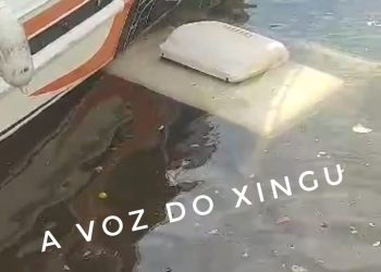 Caminhão caiu na água durante embarque no Porto de Vitória do Xingu, no Pará