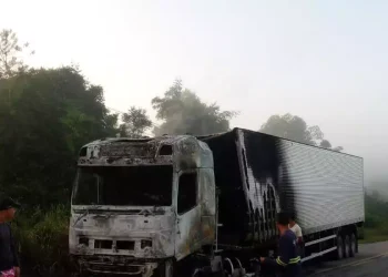 Um caminhão de madeira pegou fogo depois de uma tentativa de assalto, no município de Irituia, no nordeste do Pará. O ataque ocorreu na madrugada deste sábado (12) (Imagem/Redes sociais)