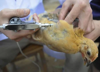 Medida prevê ações preventivas — Foto: Reuters/China Daily