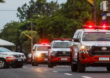 Foto: Agência Pará / Divulgação