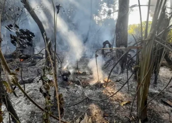 Focos de incêndio na Unidades de conservação em São Geraldo do Araguaia, no Pará — Foto: Divulgação