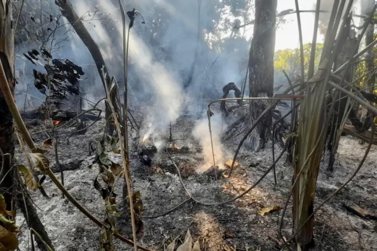 Focos de incêndio na Unidades de conservação em São Geraldo do Araguaia, no Pará — Foto: Divulgação