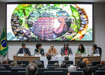 Primeiro pagamento do Bolsa Verde beneficia mais de 6,2 mil famílias