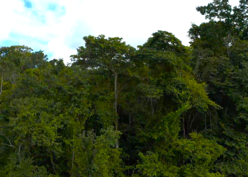 Foto: Divulgação/Norte Energia