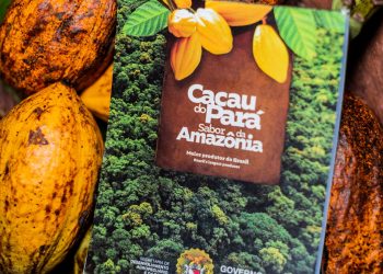 Pará terá expositores de 15 marcas locais na estreia do Chocolat Festival em Brasília