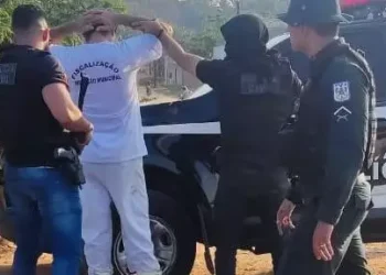 O preso foi conduzido à sede policial para os procedimentos de praxe, se encontrando agora à disposição do poder judiciário. (Divulgação / PCPA)
