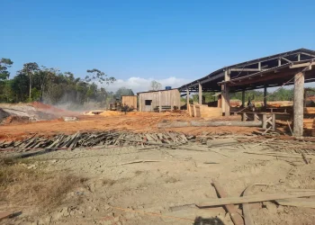 Local em que a ocorrência foi registrada. — Foto: Divulgação
