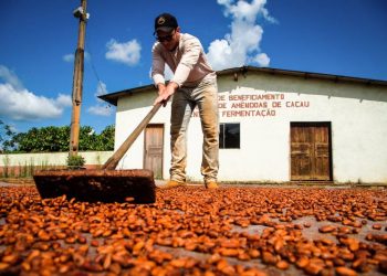 Foto: Divulgação/Agência Pará