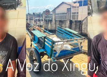 Acreditem: Dois homens são presos em Vitória do Xingu por furtar uma carroça e um burro