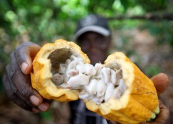 “Territórios Sustentáveis” atende mais de 2 mil produtores rurais em 43 municípios paraenses