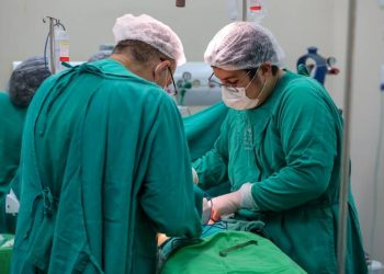 Sespa mobiliza paraenses para o mês de conscientização para a doação de órgãos