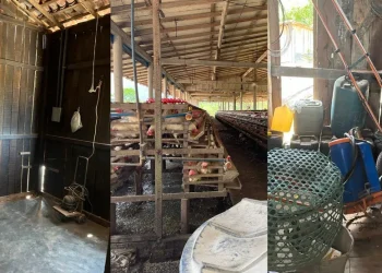 Locais em que as operações ocorreram. — Foto: Ascom PF-PA