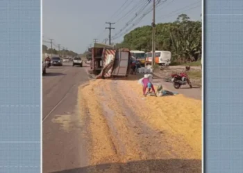 Carga de soja ficou espalhada na rodovia. — Foto: Reprodução / TV Liberal