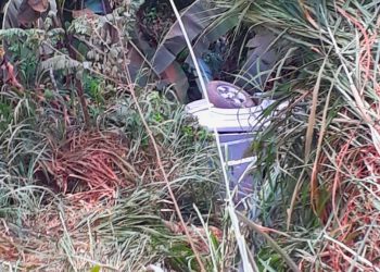 Foto: Reprodução das Redes Sociais