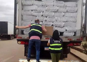 Sefa apreende 28 toneladas de açaí em Dom Eliseu, no Pará