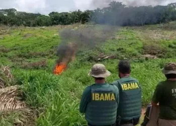A imagem mostra invasão na terra indígena Apyterewa em maio de 2022 (Foto: Polícia Federal)