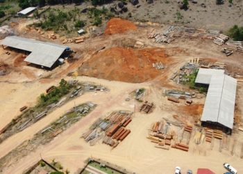 Ibama apreende madeira ilegal em Rurópolis (PA)