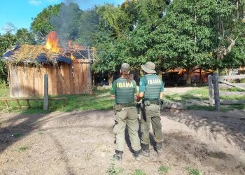 Foto: Divulgação/Ibama