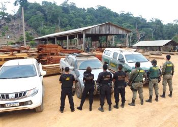 Foto: Divulgação/PF